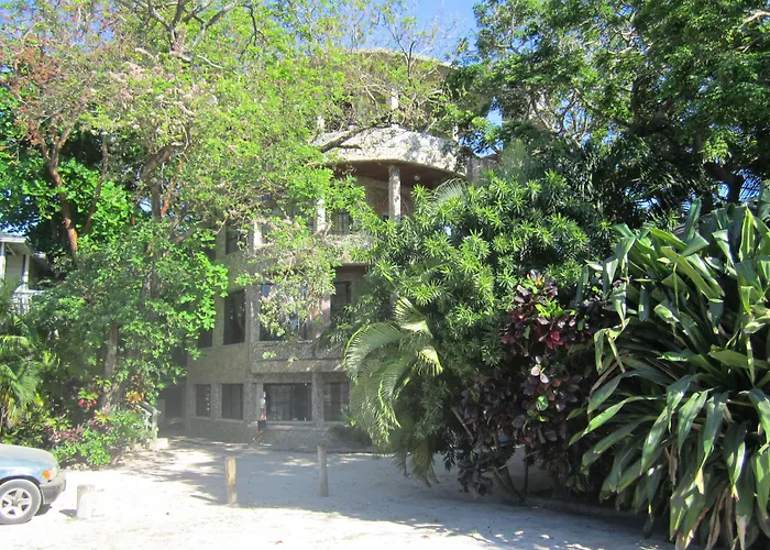 Coconut Tree West Bay